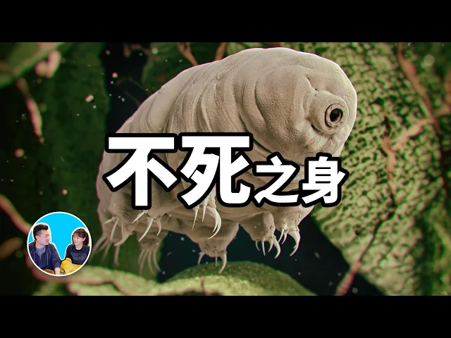【震撼】不死之身,地球上最强悍的生物告訴我們人類永生的正確方向,水熊蟲和扁平蟲 | 老高與小茉 mr & mrs gao